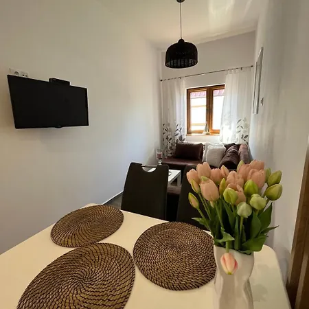 Babilon I Studia Homestay