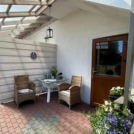 Babilon I Studia Homestay