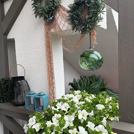 Babilon I Studia Homestay szállás *